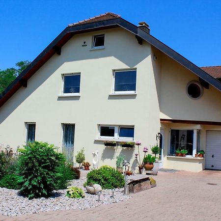 Grosszuegige Helle Ferienwohnung Bis 4 Personen In Chalampe, Elsass Εξωτερικό φωτογραφία